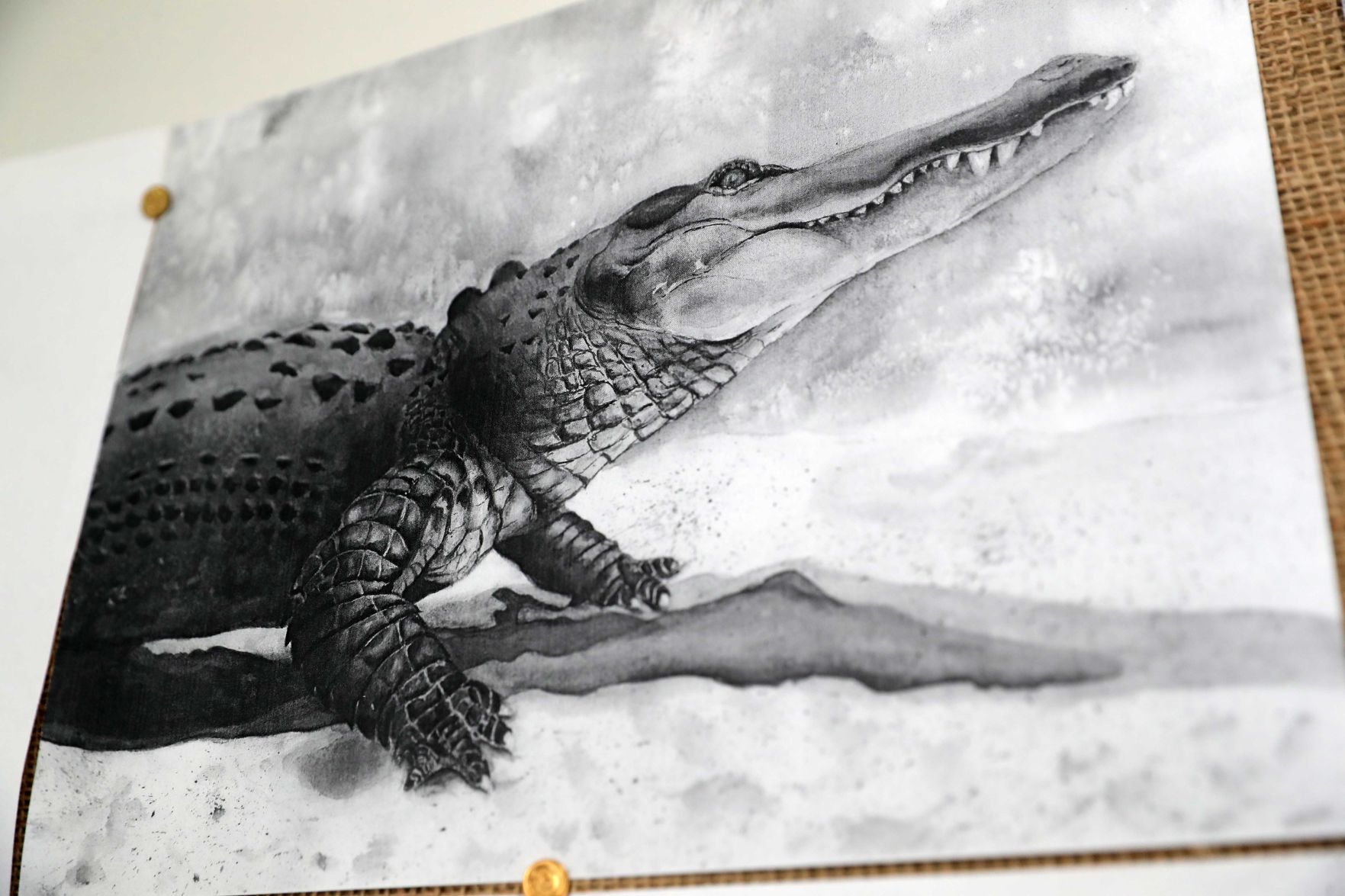 My Happy Place: Artist Stephanie Segal Miller